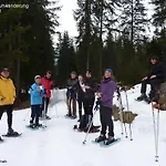 Schwarzer Adler In Haegerau-steeg Naturpark Lechtal Gæstehus Steeg