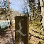 Schwarzer Adler In Haegerau-steeg Naturpark Lechtal