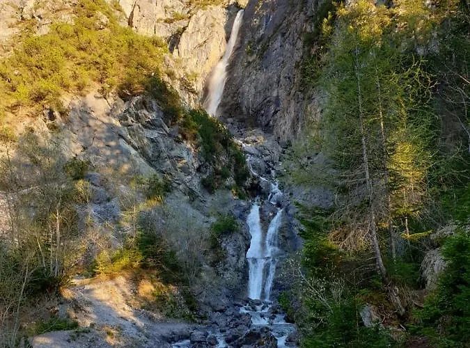Schwarzer Adler In Haegerau-steeg Naturpark Lechtal