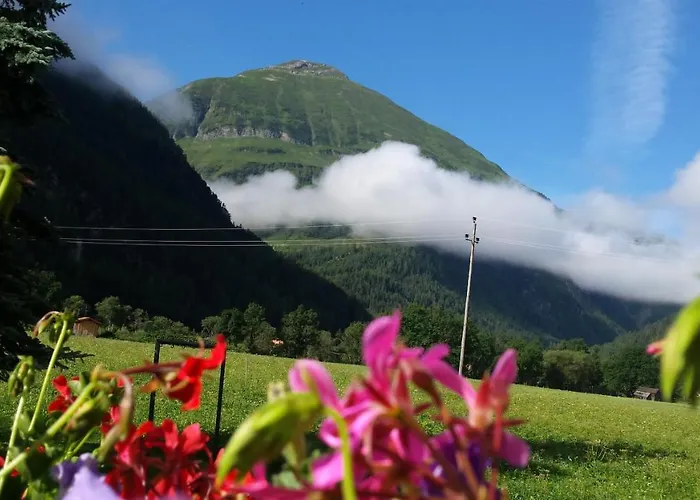 Schwarzer Adler In Haegerau-steeg Naturpark Lechtal Steeg
