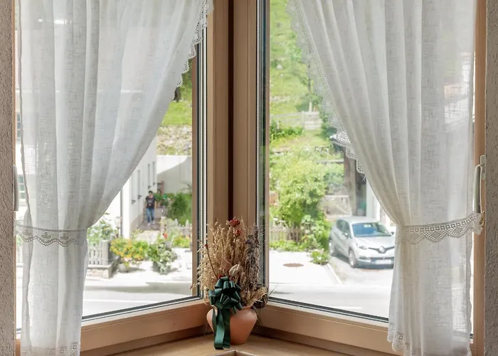 Schwarzer Adler In Haegerau-steeg Naturpark Lechtal