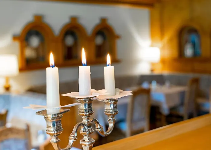 Schwarzer Adler In Haegerau-steeg Naturpark Lechtal