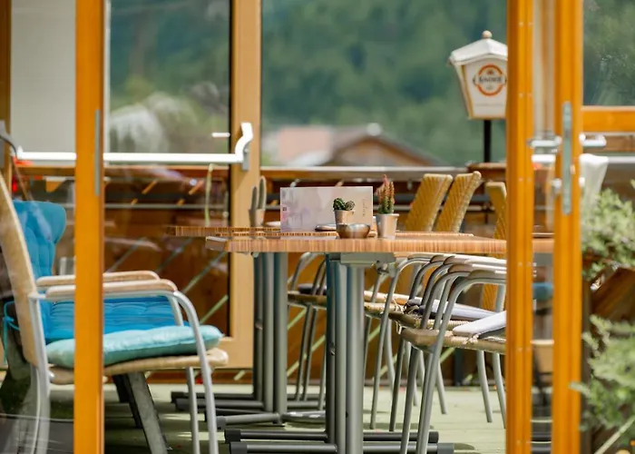 Schwarzer Adler In Haegerau-steeg Naturpark Lechtal