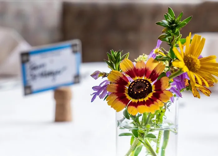 Πανσιόν Schwarzer Adler In Haegerau-steeg Naturpark Lechtal Steeg