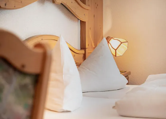 Schwarzer Adler In Haegerau-steeg Naturpark Lechtal