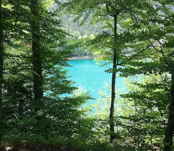 Schwarzer Adler In Haegerau-steeg Naturpark Lechtal Πανσιόν