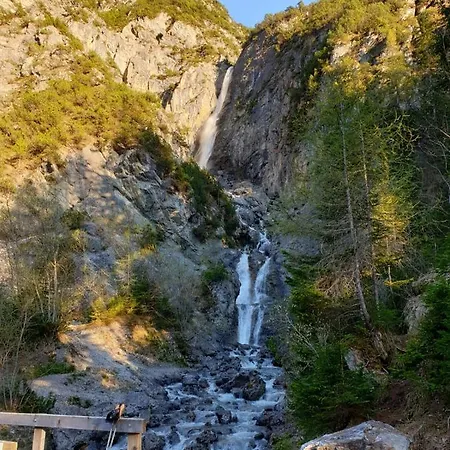 Schwarzer Adler In Haegerau-steeg Naturpark Lechtal