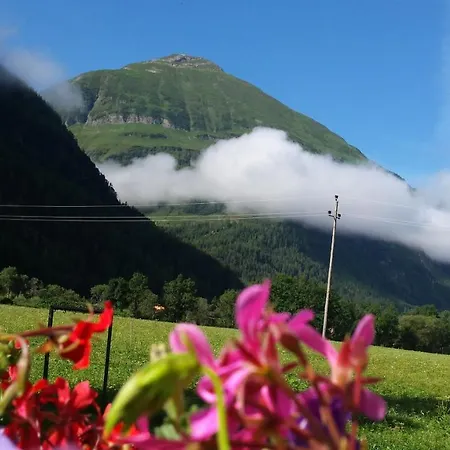 Schwarzer Adler In Haegerau-steeg Naturpark Lechtal Штег