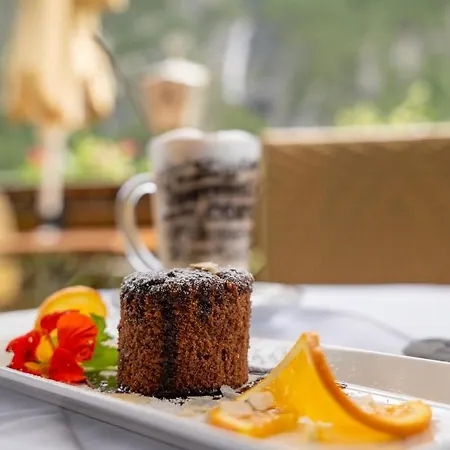 Schwarzer Adler In Haegerau-steeg Naturpark Lechtal Гостевой дом Штег