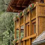 Schwarzer Adler In Haegerau-steeg Naturpark Lechtal 3* ستيغ
