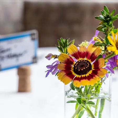 Konukevi Schwarzer Adler In Haegerau-steeg Naturpark Lechtal Steeg