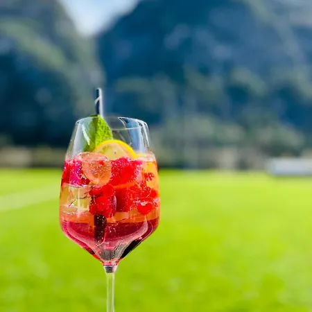 Schwarzer Adler In Haegerau-steeg Naturpark Lechtal Konukevi