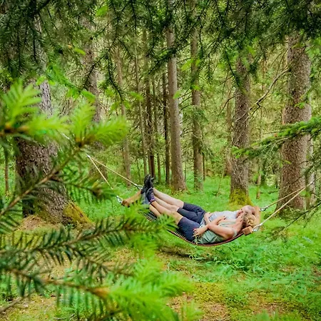 Schwarzer Adler In Haegerau-steeg Naturpark Lechtal Konukevi 3*