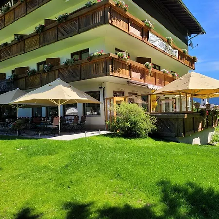 Schwarzer Adler In Haegerau-steeg Naturpark Lechtal Konukevi Steeg