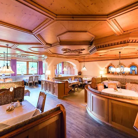 Schwarzer Adler In Haegerau-steeg Naturpark Lechtal